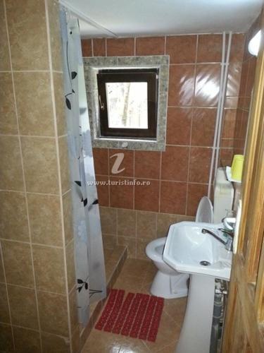 Delia Hotel Ocna Sugatag Room photo
